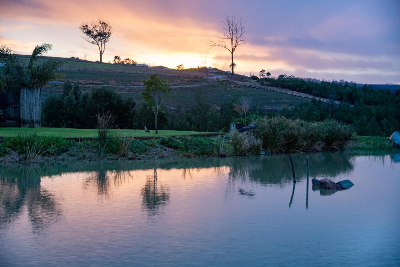 Hudson Manor - Entabeni, Knysna Bed & Breakfast Bagian luar foto